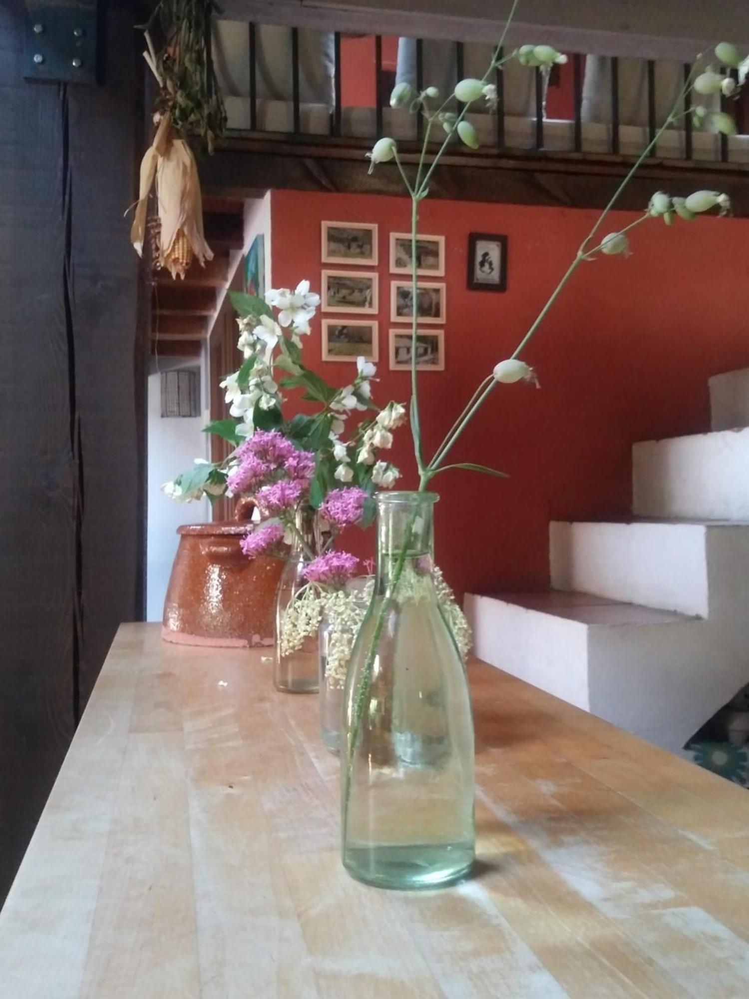 Casa Corazon De Piedra En El Rio Dulce Pension Aragosa Buitenkant foto